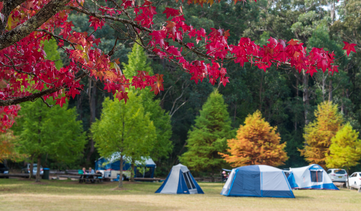 Camping in autumn
